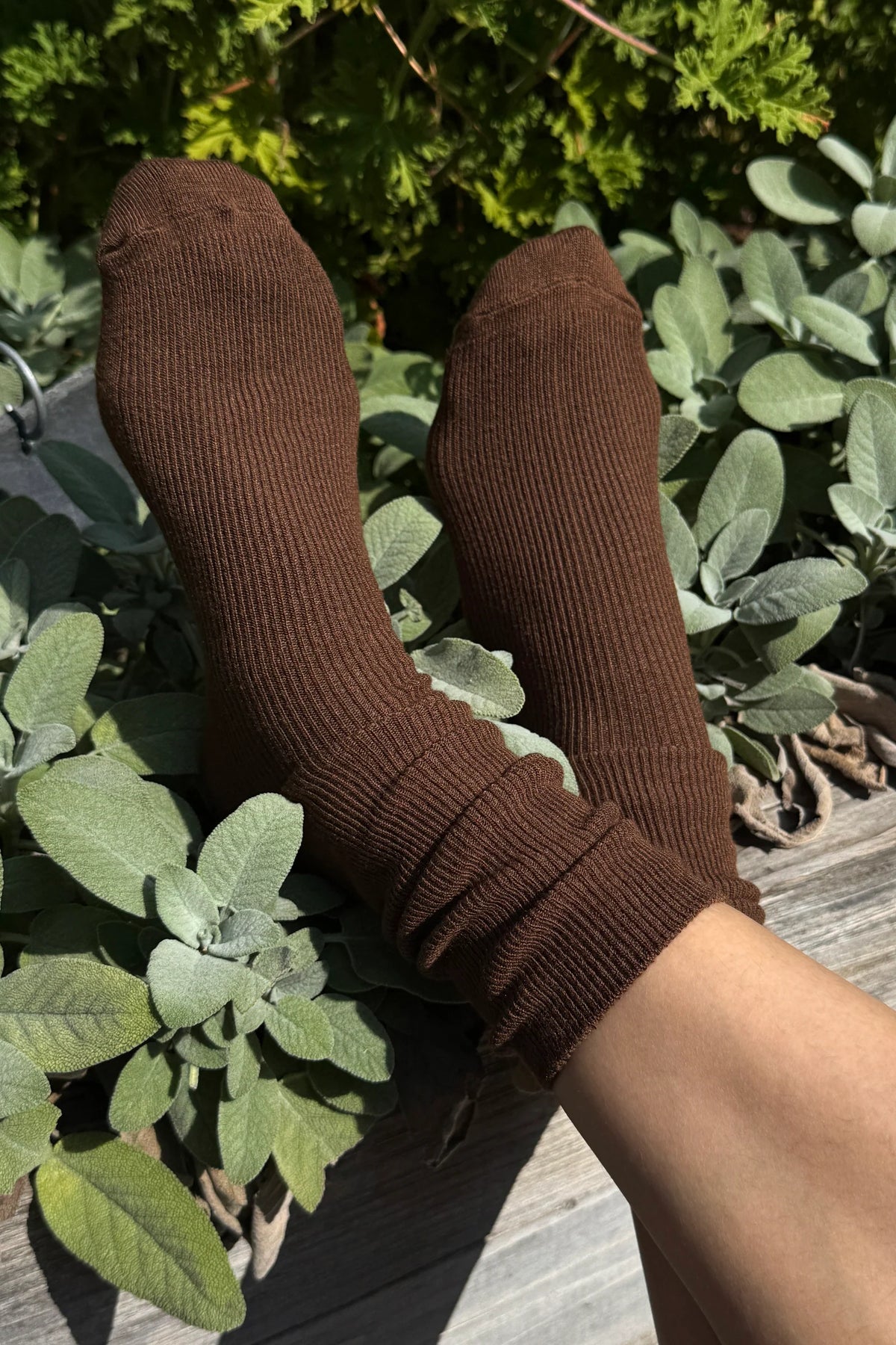 Le Bon Shoppe Dijon Trouser Socks