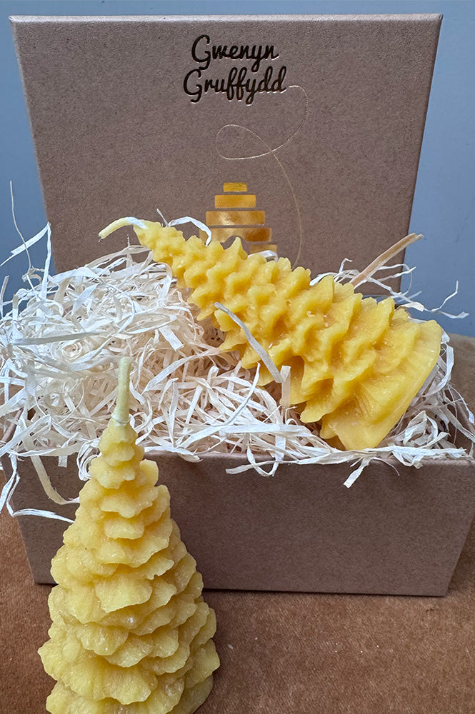 Gwenyn Gruffydd Welsh Beeswax Christmas Tree Candle Gift Set - The Mercantile London