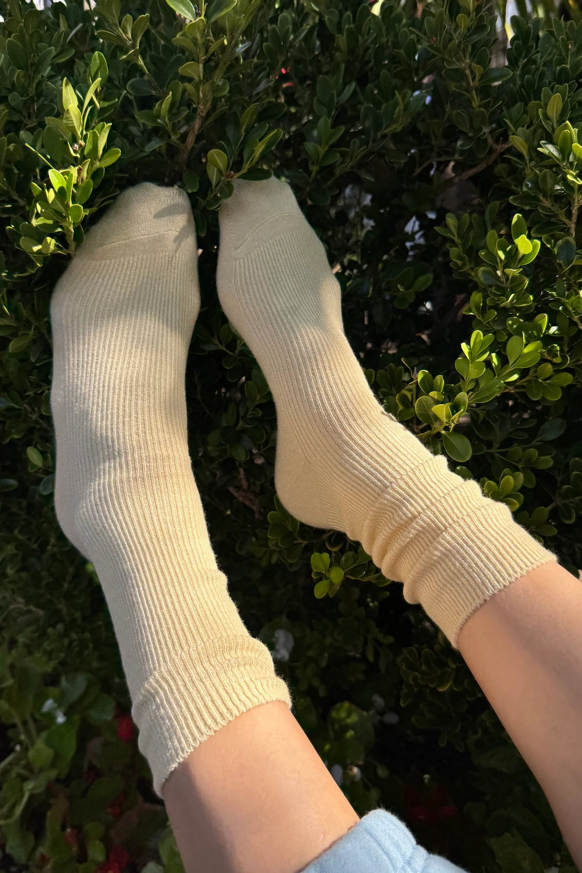 Le Bon Shoppe Granola Trouser Socks