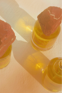 August Nectar Sun-Drenched Blend of Citrus & Woods Parfum