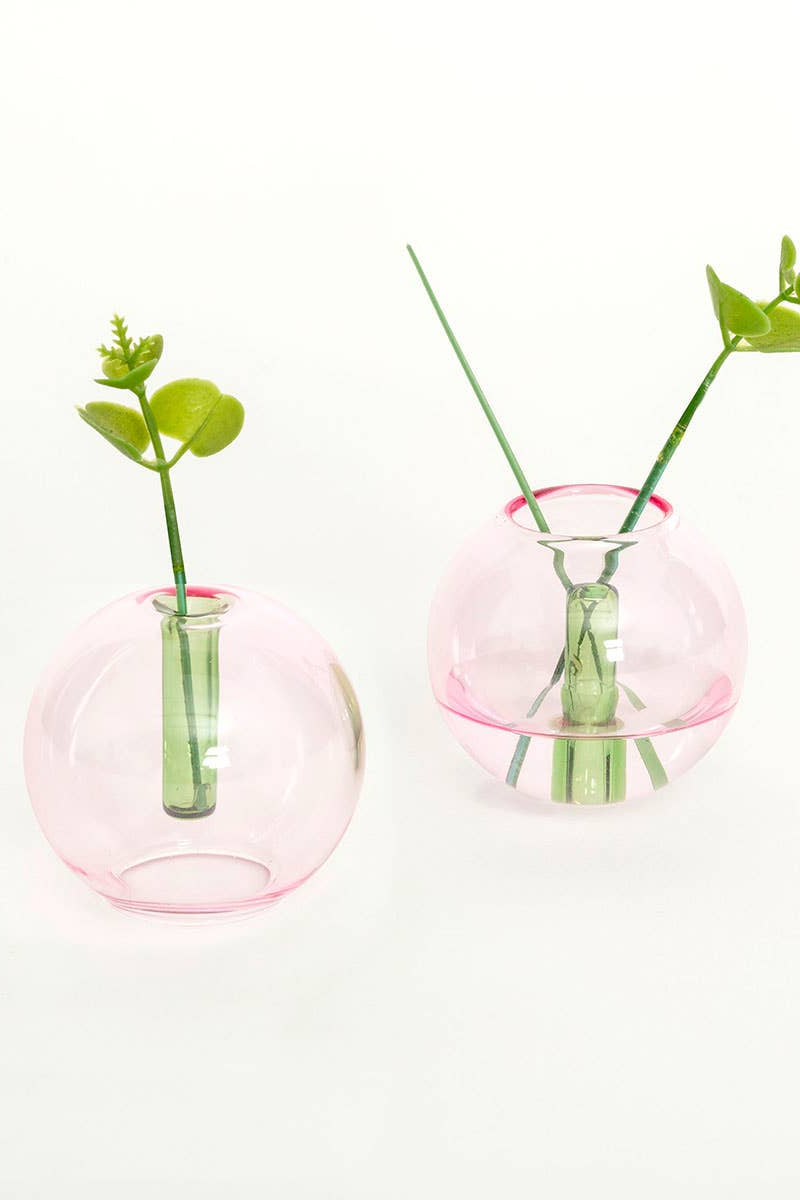 Two pink glass vases with green plants on a white background