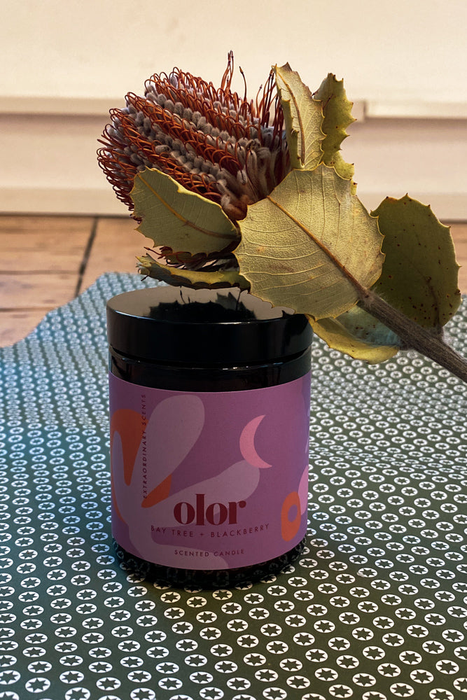 Olor Bay Tree + Blackberry Jar Candle - The Mercantile London