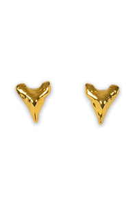 Gold shark tooth earrings on a white background