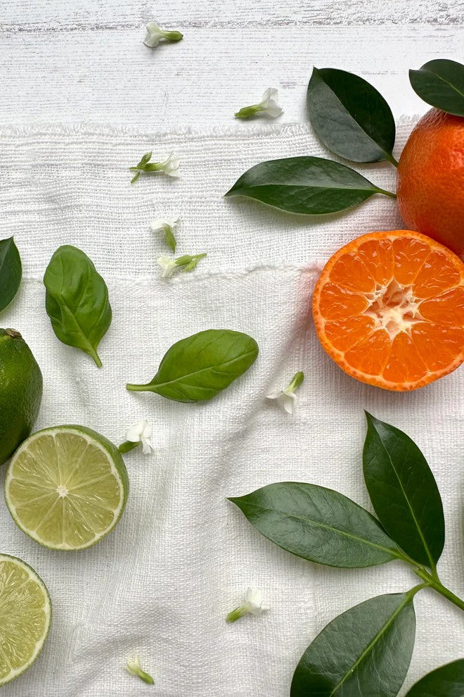 Pru Ivory Lime Basil & Mandarin Coffee Cup Candle - The Mercantile London