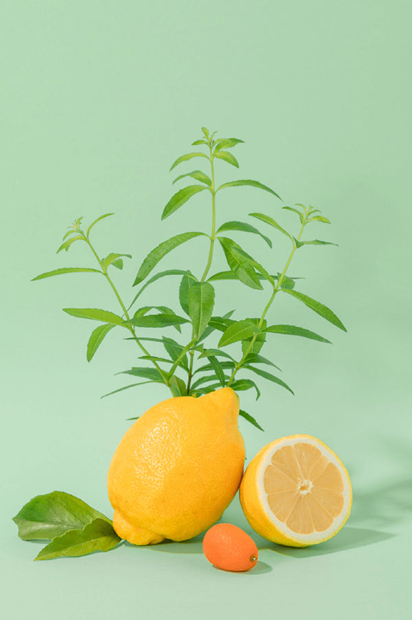 Compagnie de Provence Fresh Verbena Hand Cream - The Mercantile London
