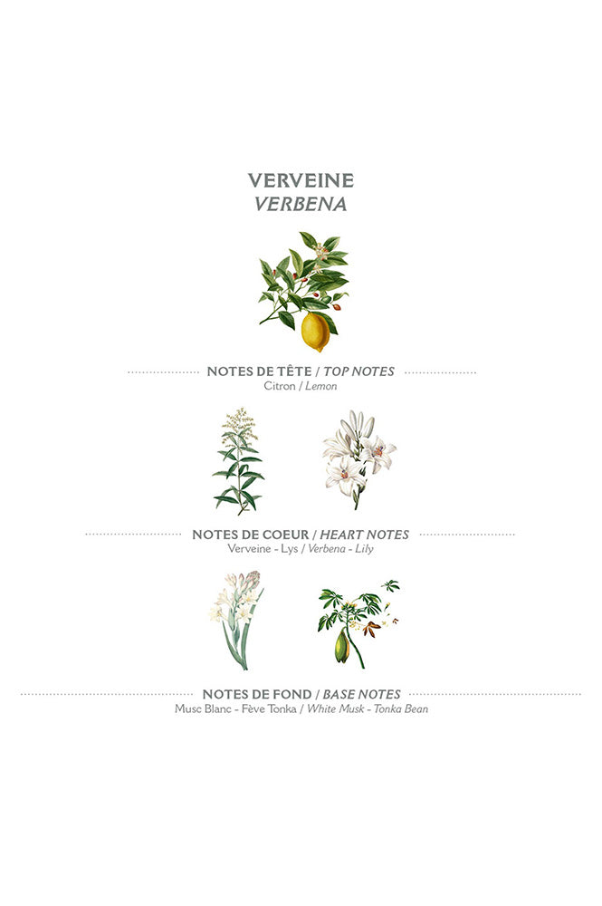 Panier Des Sens Verbena Small Hand Cream - The Mercantile London