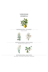 Panier Des Sens Verbena Small Hand Cream - The Mercantile London