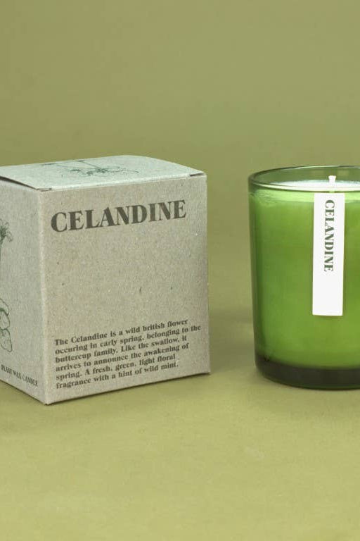 A green glass jar candle next to its textured light gray packaging box, both labeled 'CELANDINE', set against a solid olive green background.