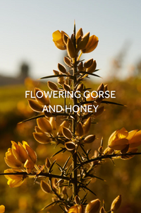 FieldDay Belong Folk Tin Candle - The Mercantile London