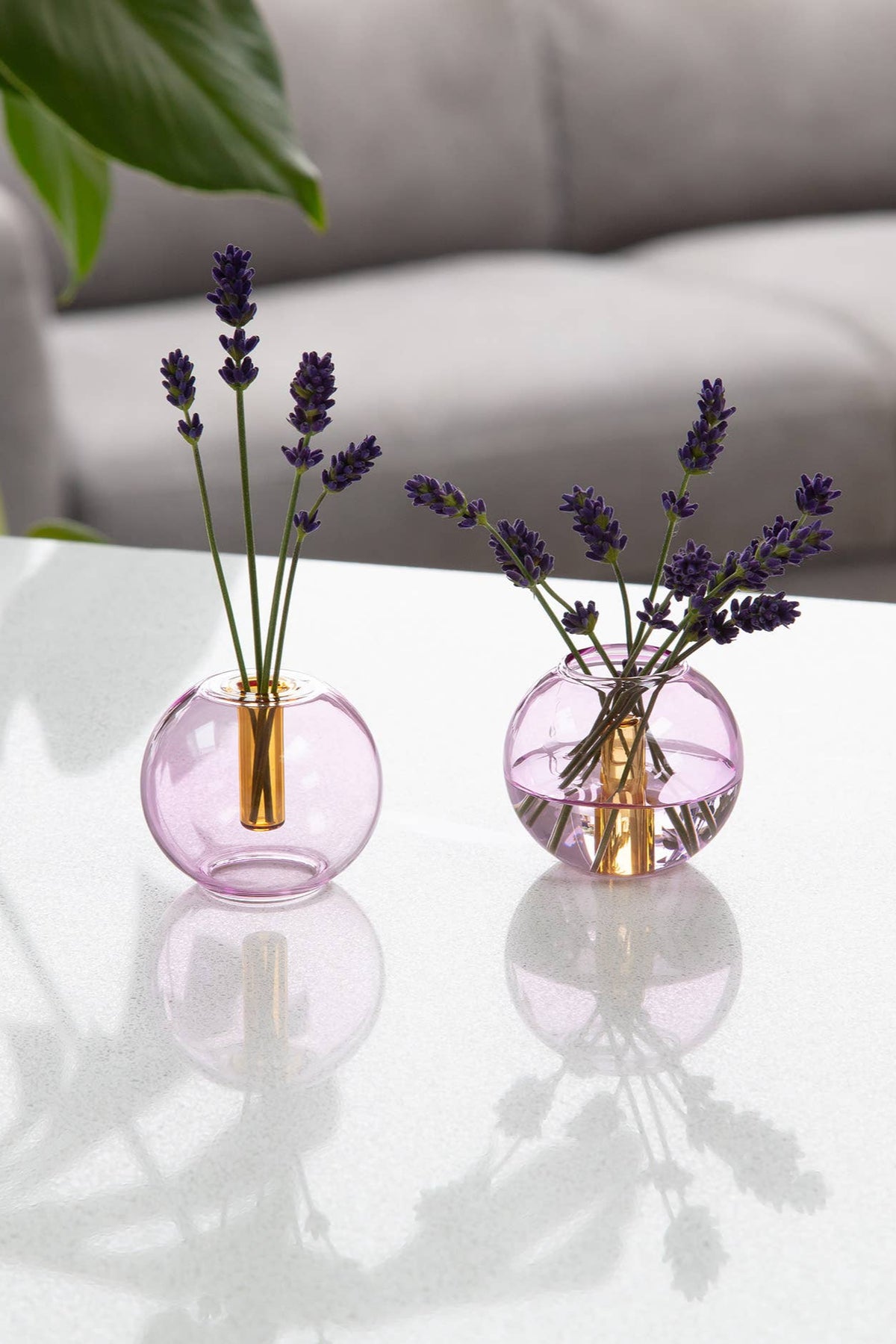 Two small round glass vases with lavender on a reflective surface.