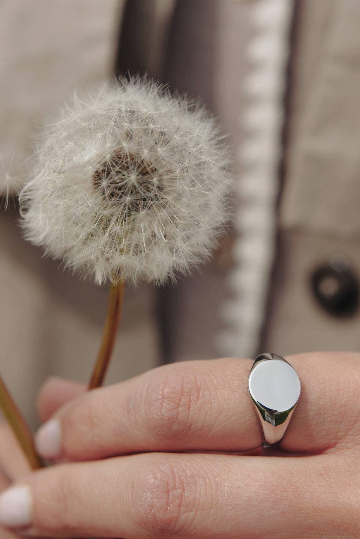 Nordic Muse Silver Round Signet Ring