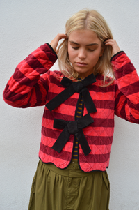 Echo of Pink Striped Velvet Jacket