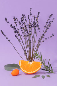 Compagnie de Provence Aromatic Lavender Hand Cream - The Mercantile London