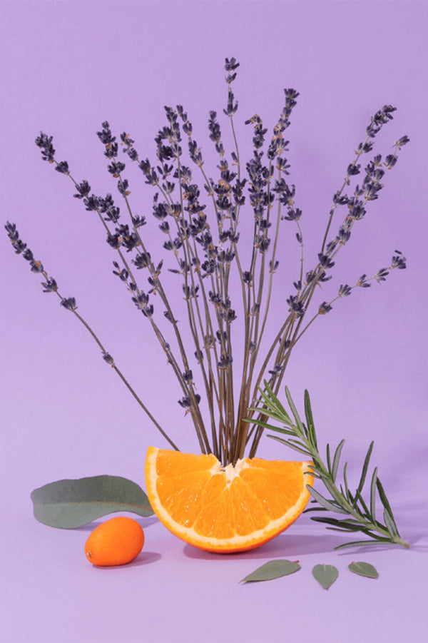 Compagnie de Provence Aromatic Lavender Hand Cream - The Mercantile London