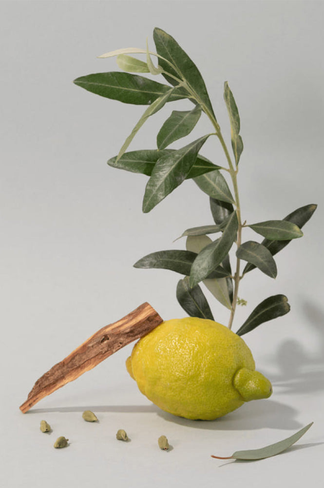 Compagnie de Provence Olive Wood Hand Cream - The Mercantile London