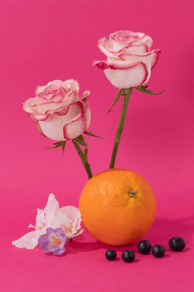 Compagnie de Provence Wild Rose Hand Cream - The Mercantile London
