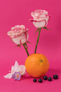 Compagnie de Provence Wild Rose Hand Cream - The Mercantile London