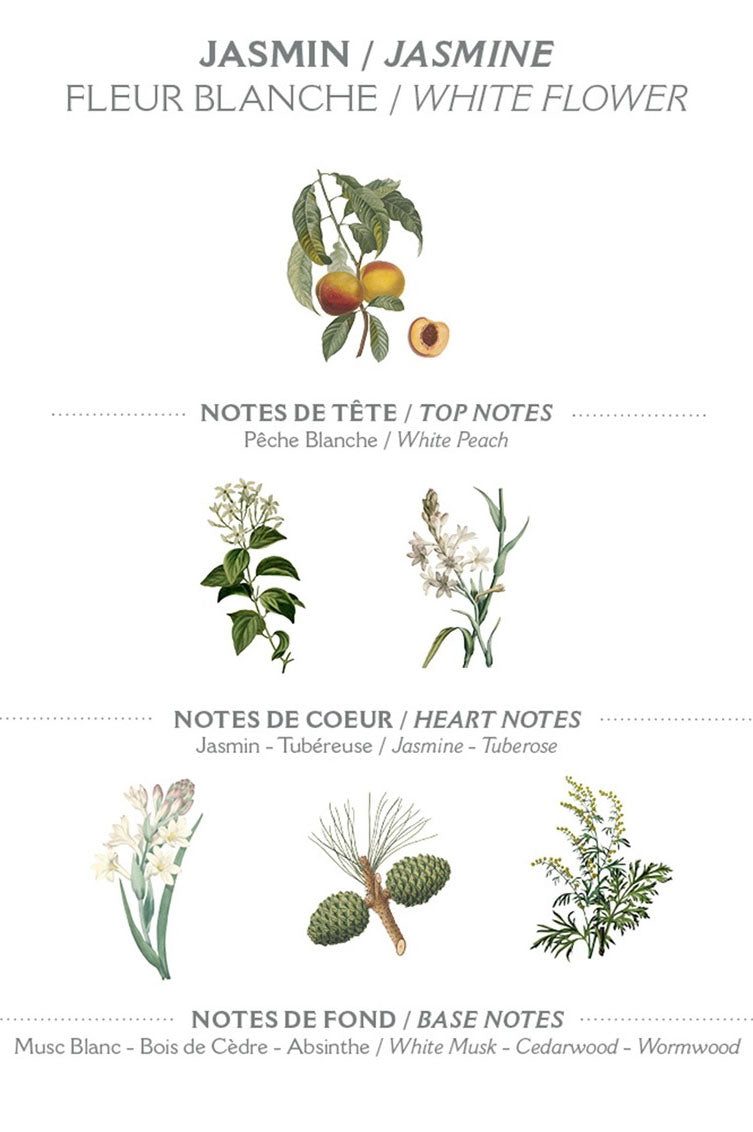 Panier Des Sens Jasmine Hand Cream - The Mercantile London