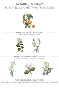 Panier Des Sens Jasmine Hand Cream - The Mercantile London