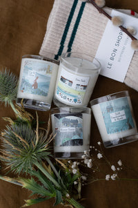 Fig & Olive Illustrated Box Candle - The Mercantile London