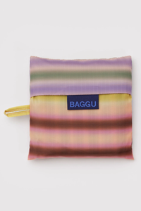 Baggu Multi Gradient Stripe Standard Reusable Bag - The Mercantile London