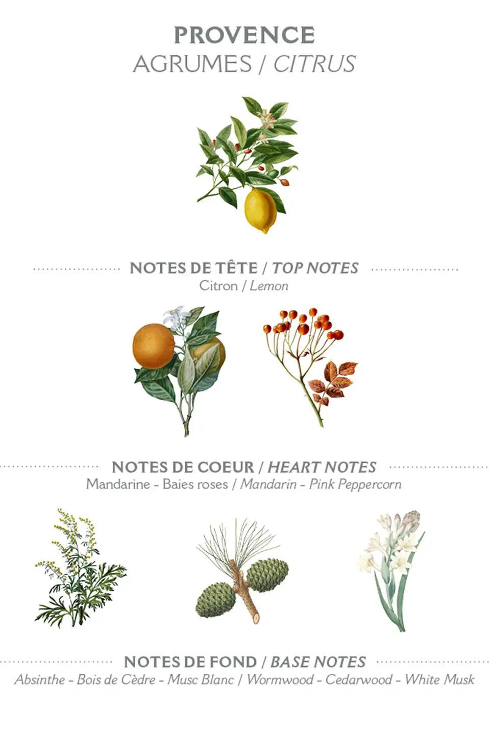 Panier Des Sens Provence Hand Cream - The Mercantile London