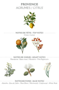 Panier Des Sens Provence Hand Cream - The Mercantile London