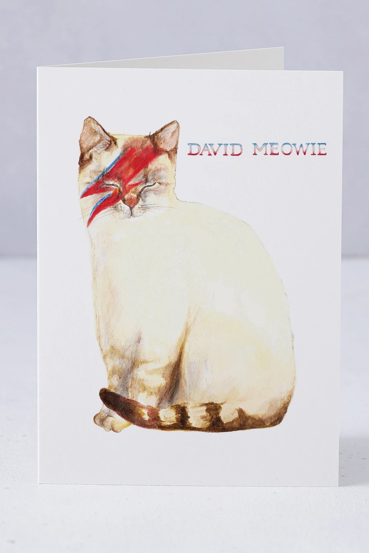 Mister Peebles David Meowie Card - The Mercantile London