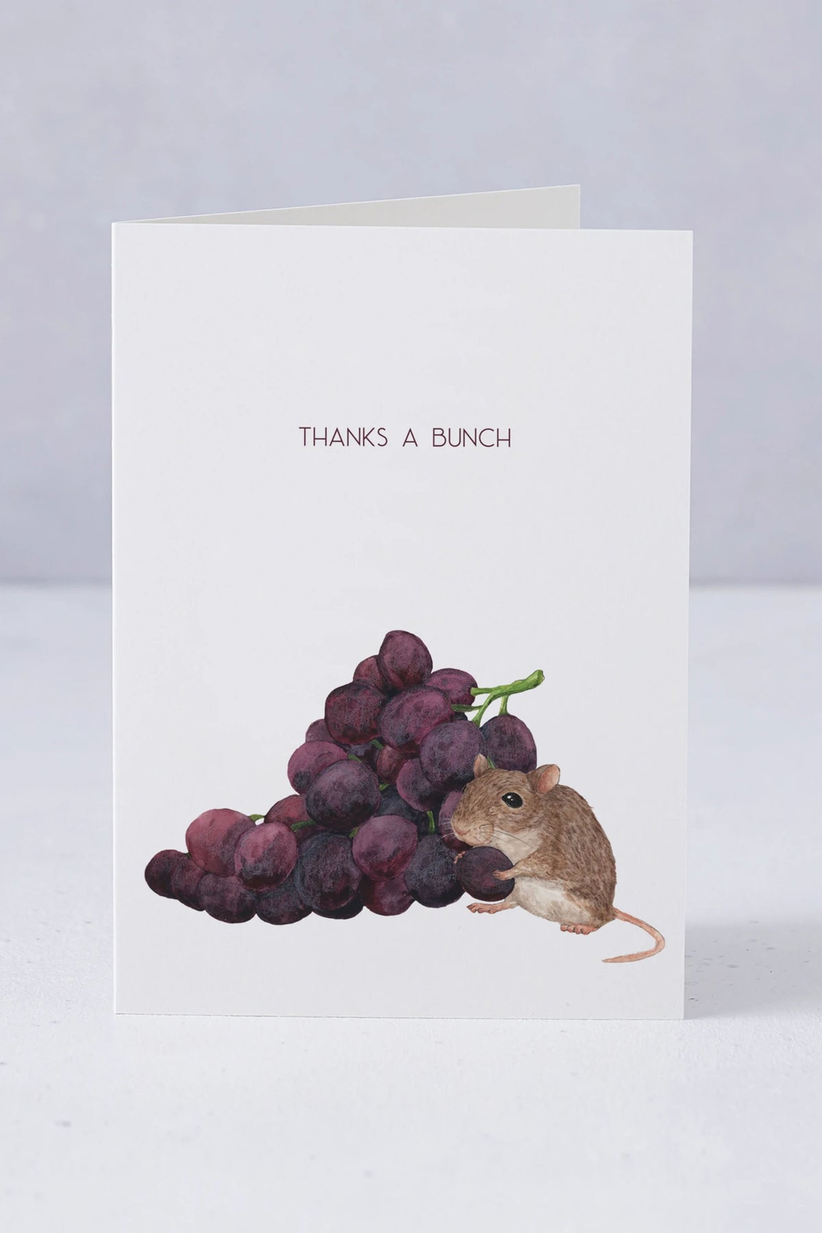 Mister Peebles Thanks A Bunch Card - The Mercantile London