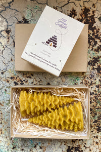 Gwenyn Gruffydd Welsh Beeswax Christmas Tree Candle Gift Set - The Mercantile London