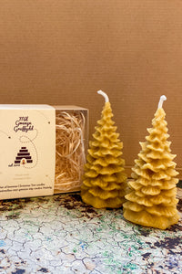 Gwenyn Gruffydd Welsh Beeswax Christmas Tree Candle Gift Set - The Mercantile London