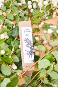 Norfolk Natural Living Parfum - [91] Days of Autumn 10ml - The Mercantile London